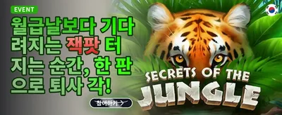 매주 쏟아지는 VIP 캐시백 혜택 promotion